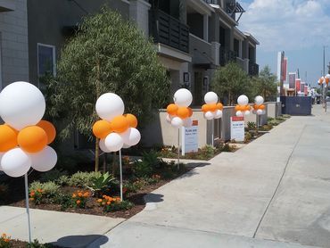 Line of orange and white balloon decorations outside buildings.