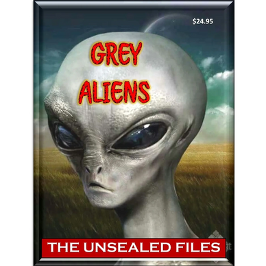 Grey Aliens Book - Everything You Wanted to Know About These Aliens