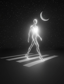 Shine by Illuminate Designs