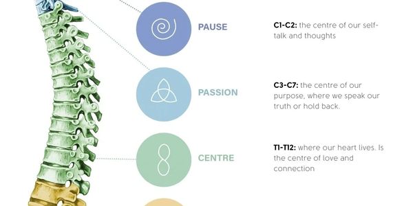 Spinal Flow Therapy Gateways Image.
