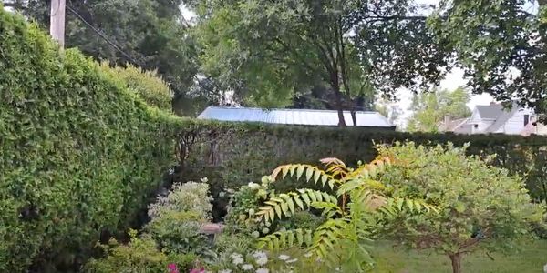 Shrubs, Hedges, Trees