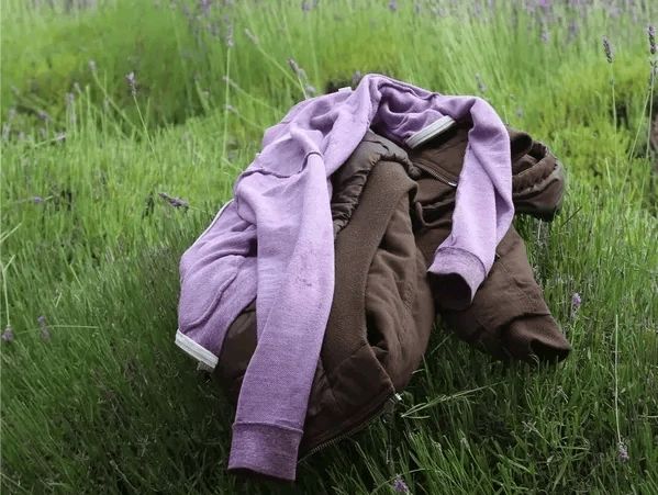 Clothes left in the lavender farm