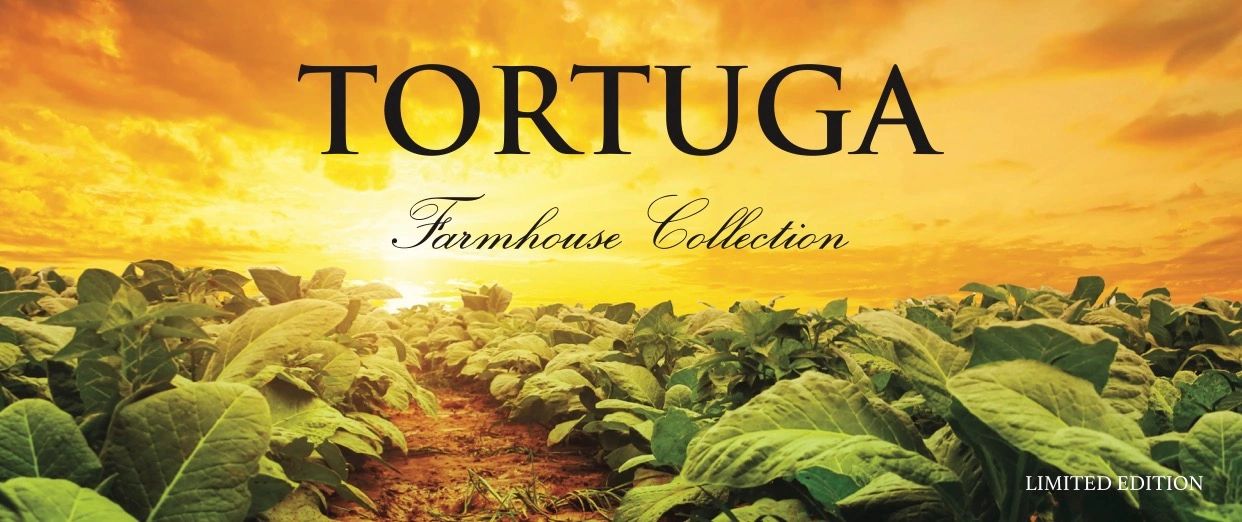Tortuga Farmhouse Collection with lush green plants under a vibrant sunset.