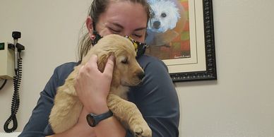 Nurse cuddling Golden Retriever Puppy after exam.