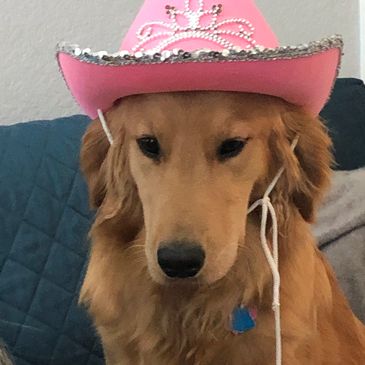 Nutmeg modeling her cowboy hat.