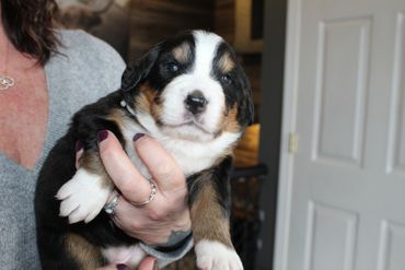 February 22, 2026. Beyonce is a whopping 4.24 lbs on her 19th day!