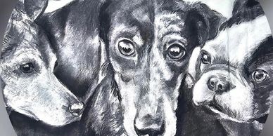 Charcoal drawing of three dogs.