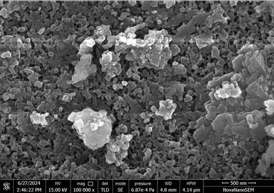 SEM image of the 45S5 Bioactive glass nanoparticles