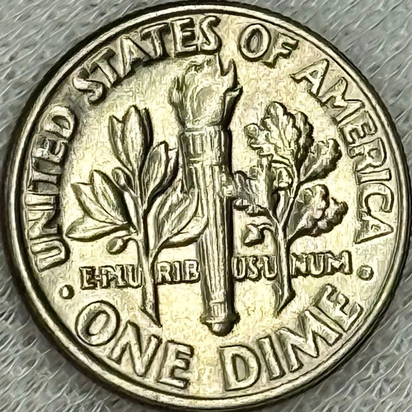 Reverse of a Circulated 1981 Roosevelt Dime