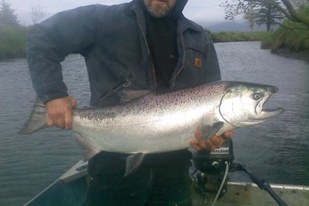 Northwest Salmon and Steelhead Fishing: New Tailwagger Hoochie
