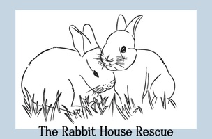 The Rabbit House Rescue 