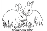 The Rabbit House Rescue 