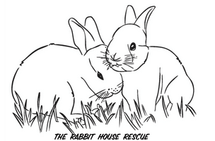 The Rabbit House Rescue 