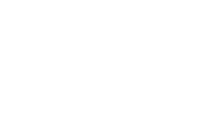 QuickData Innovation