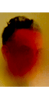 ai.ro*bot