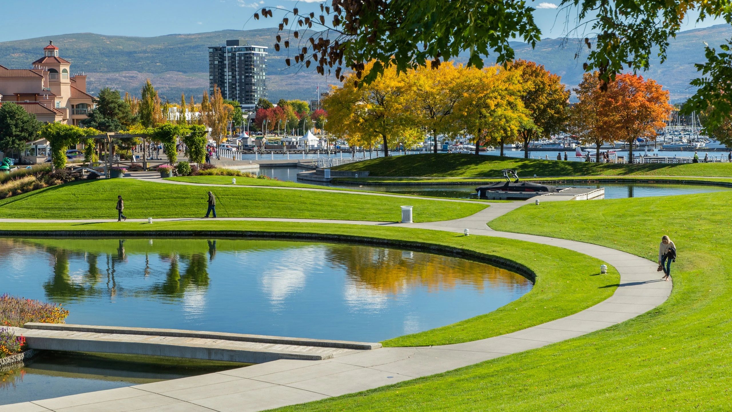 Turf Grass Kelowna HighQuality Sod for Your Property