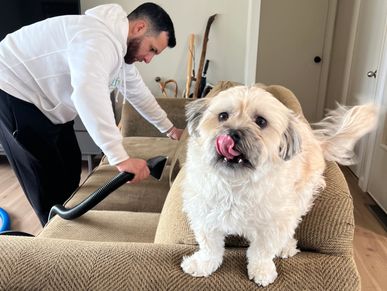 Xtractify cleaning pet stain while dog is smiling