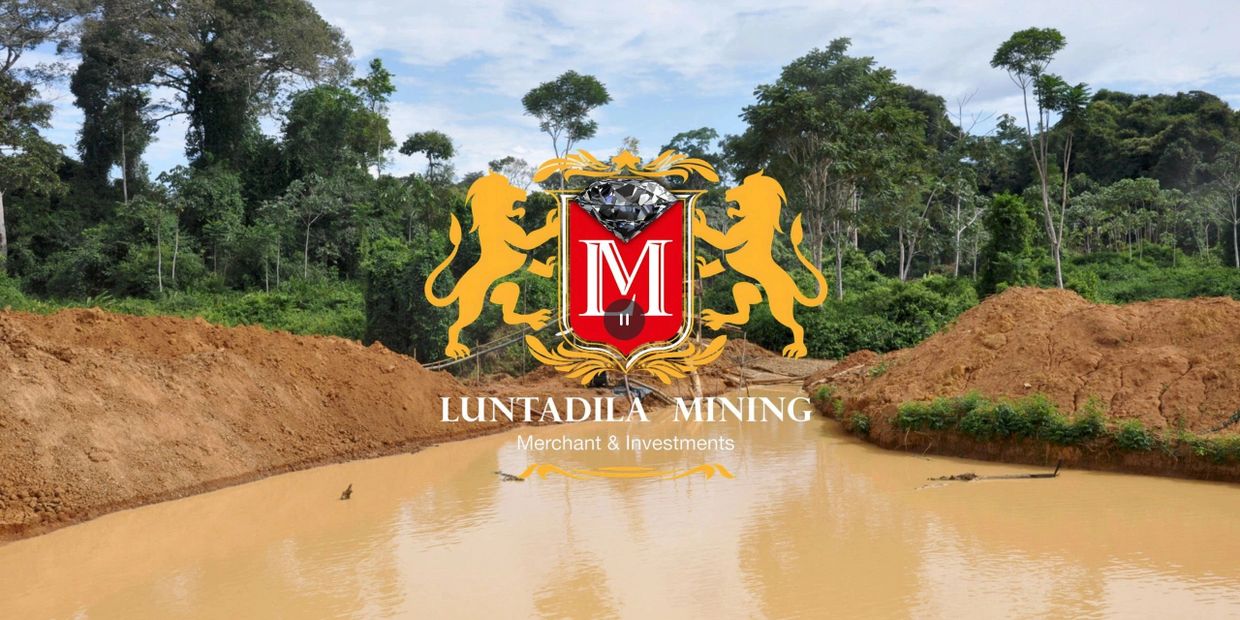 Luntadila Mining site with muddy water surrounded by trees.