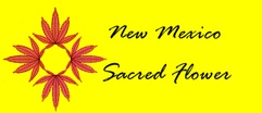 New Mexico Sacred Flower