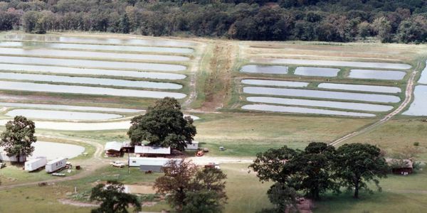 Overton Fisheries, Inc. Fish Hatchery, Lake Management