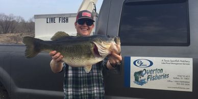 Overton's Largemouth Bass