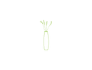 vase with flowers