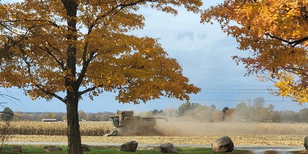 A harvester works in a field during autumn.