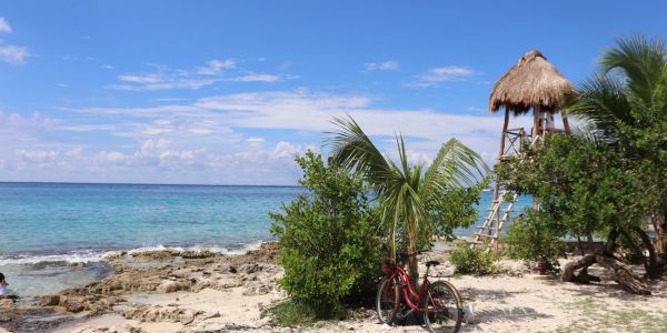 Bicycle parked by a tropical beach with a thatched hut.