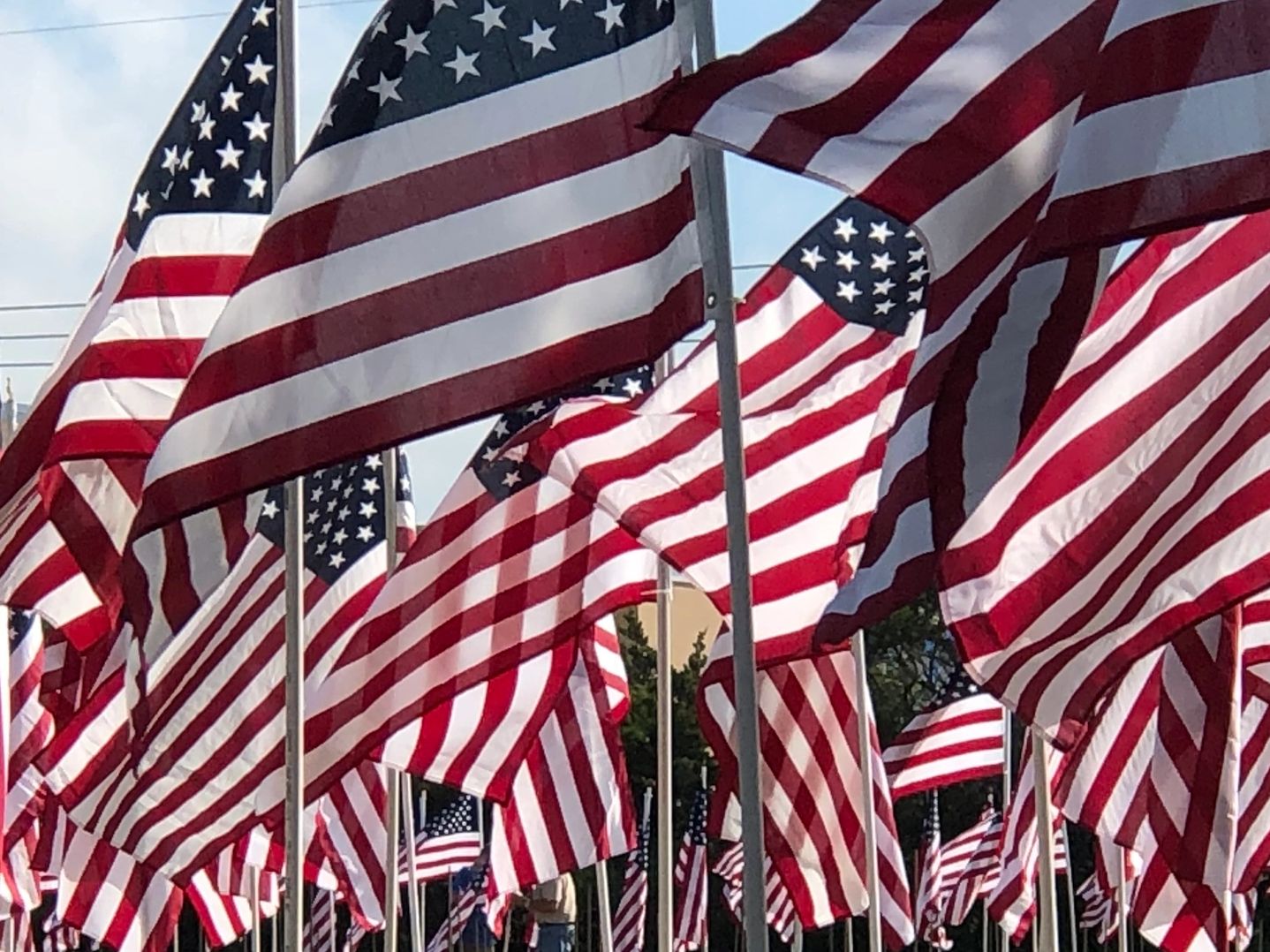 The Field of Flags RALLY project