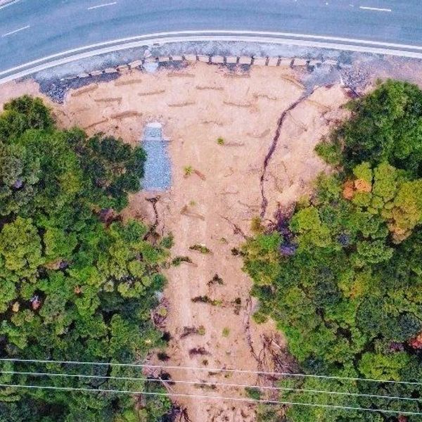 Aerial view of a road adjacent to a cleared patch of land surrounded by dense greenery.