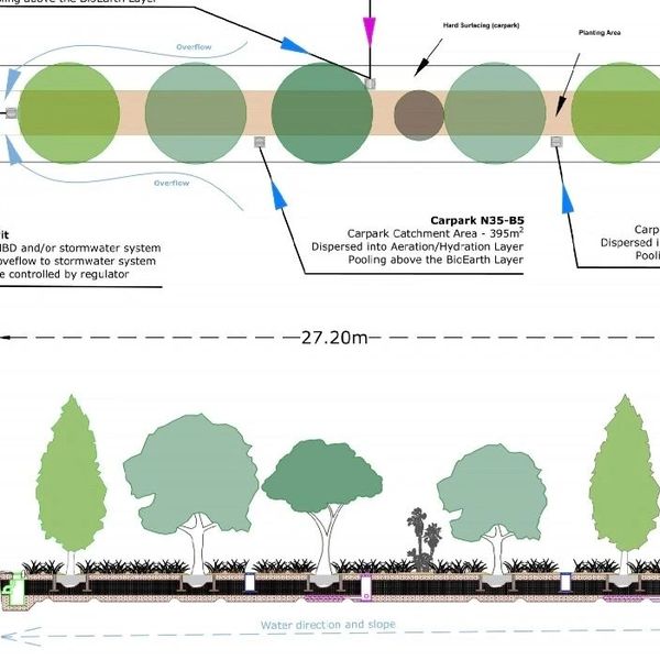 Technical drawing of a carpark with trees and water drainage system.