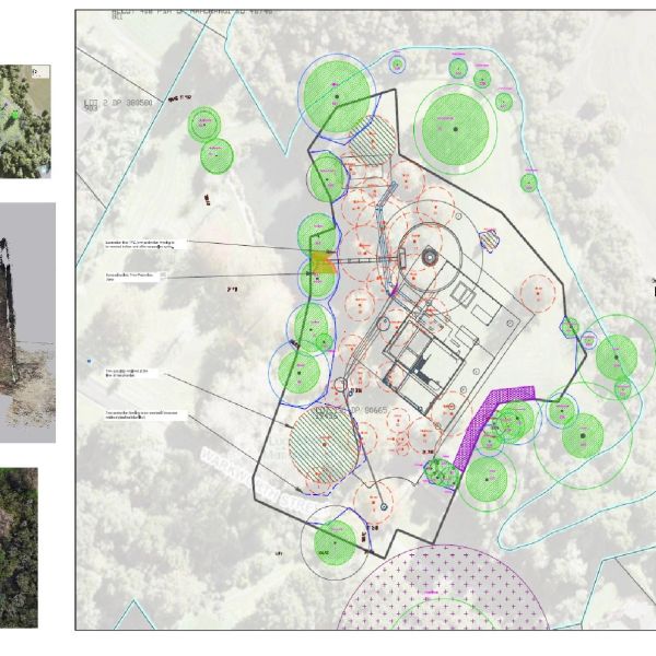 Landscape design plan with tree locations and annotations.