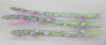 asparagus wc #7
