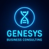 Genesys Business Consulting