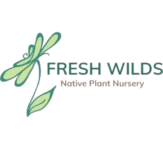 Fresh Wilds