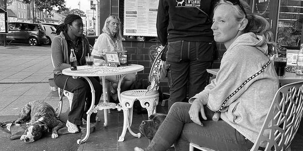 Owners training large dogs outside a red café.