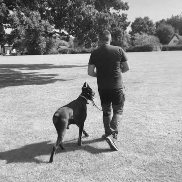Trainer walking a black Doberman in a sunny park.
