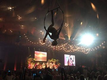 aerial acrobatics lyra Cincinnati at Queen City Stunt Circus - book local entertainment performers