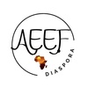 African Engineering Education Fellows in Diaspora