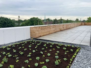 Création de toit végétalisé 