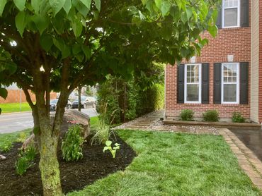 Aménagement complet de l'avant et l'entrée à la cour arrière