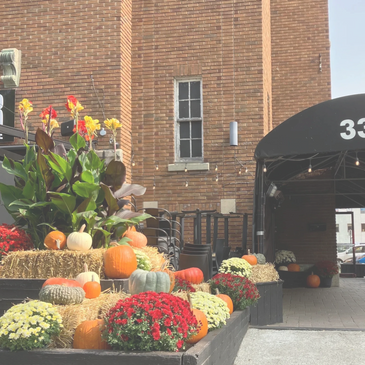 Arrangement de terrasse et décor d'Halloween pour les restaurants SHAKER