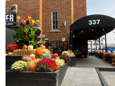 Décor d'Halloween chez les restaurants SHAKER