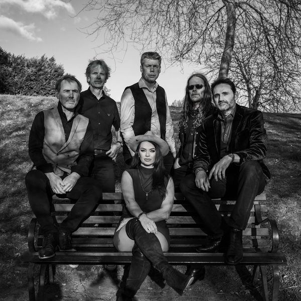 soul rock pop funk band 
Function band 
Festivals 