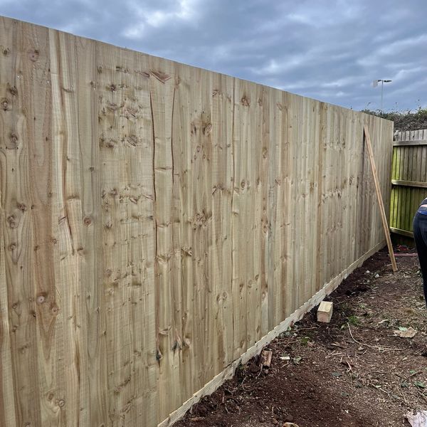 Featheredged fence in Newport
