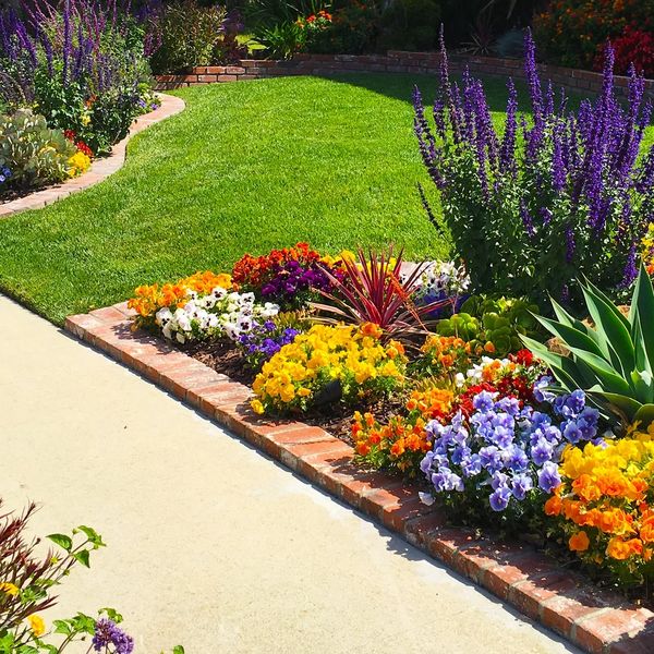 A vibrant garden with colorful flowers and lush greenery beside a sidewalk done by our landscaping contractor.