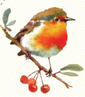  Little Bird
   Fine Art