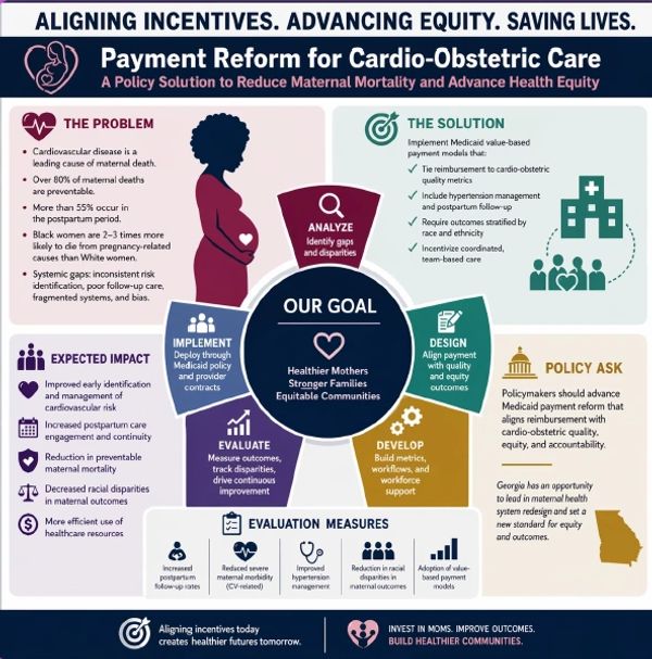 Infographic on payment reform to improve cardio-obstetric care and reduce maternal mortality.