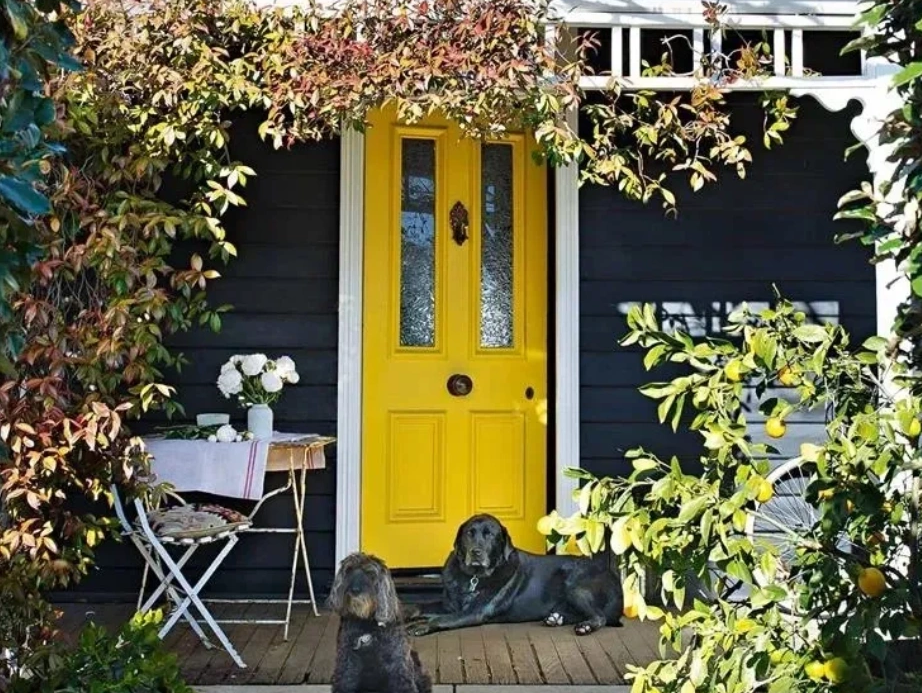 Door
