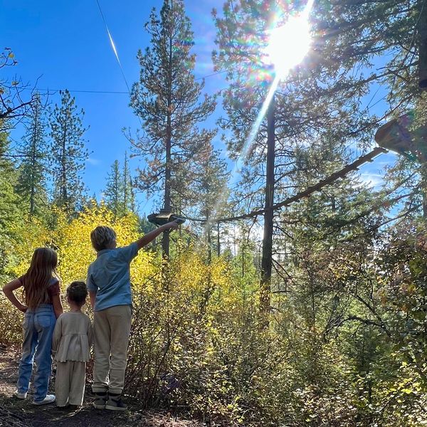 Kids point to bridge on nature walk